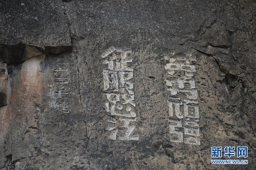 (新華全媒頭條·圖文互動)(7)格桑花開滿天路——寫在川藏公路通車65周年之際