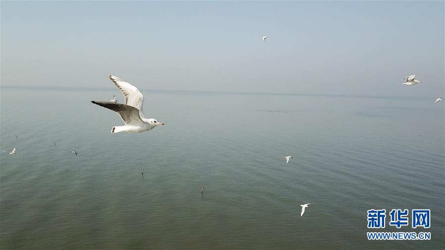 （新華全媒頭條&middot;圖文互動）（1）大湖見證&mdash;&mdash;長三角三大淡水湖綠色發展之路