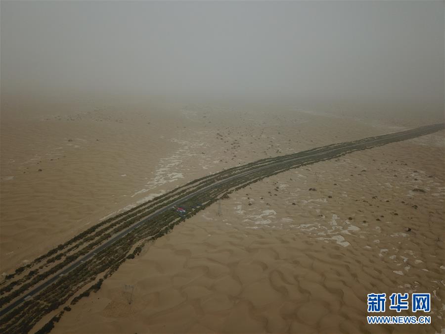 (新華全媒頭條·圖文互動)(1)塔克拉瑪干的“播綠使者”——中科院新疆生態與地理研究所高級工程師常青的故事