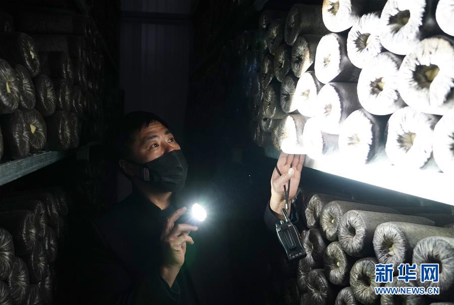 （決戰決勝脫貧攻堅&middot;圖文互動）（4）秦巴山區：戰疫戰貧，兩場仗都要打贏