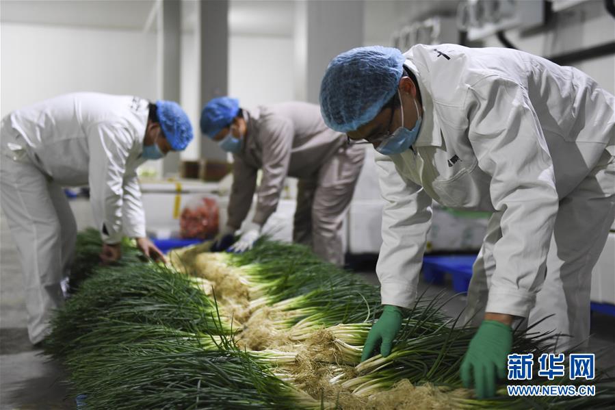 (圖文互動(dòng))(6)“早一天復(fù)工,損失就少一點(diǎn)”——廣西以精準(zhǔn)防控推動(dòng)復(fù)工復(fù)產(chǎn)一線(xiàn)見(jiàn)聞