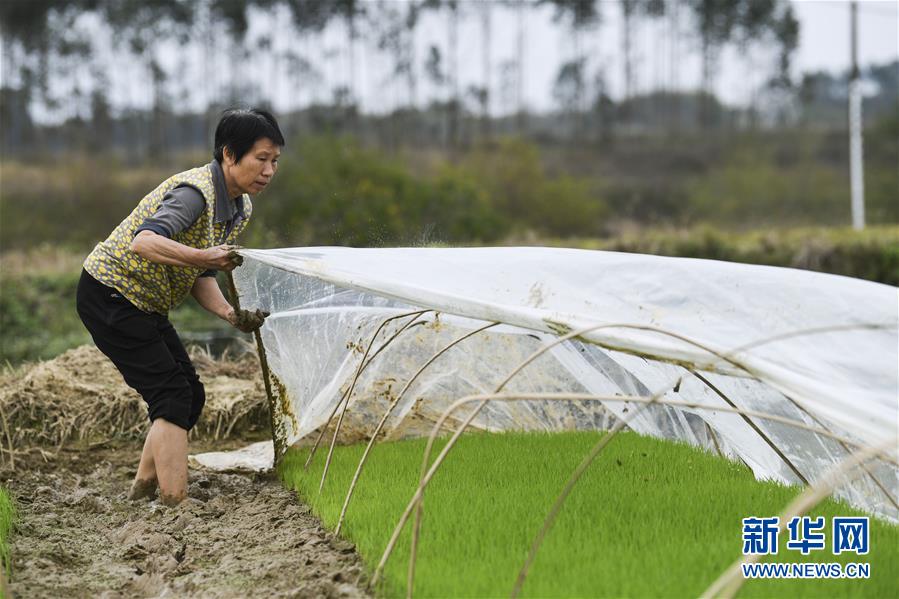 (圖文互動(dòng))(2)“早一天復(fù)工,損失就少一點(diǎn)”——廣西以精準(zhǔn)防控推動(dòng)復(fù)工復(fù)產(chǎn)一線(xiàn)見(jiàn)聞