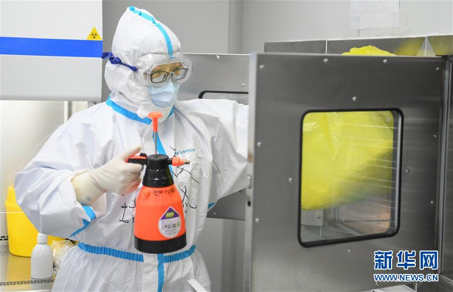 (聚焦疫情防控)(6)女子“偵察兵”:決戰(zhàn)雷神山