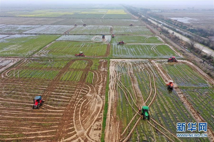 （抓好春耕備耕 穩(wěn)住農(nóng)業(yè)生產(chǎn)&middot;圖文互動(dòng)）（2）智能農(nóng)機(jī)、&ldquo;訂單&rdquo;服務(wù)、&ldquo;云端&rdquo;種菜&mdash;&mdash;來(lái)自江西的春耕&ldquo;新事&rdquo;