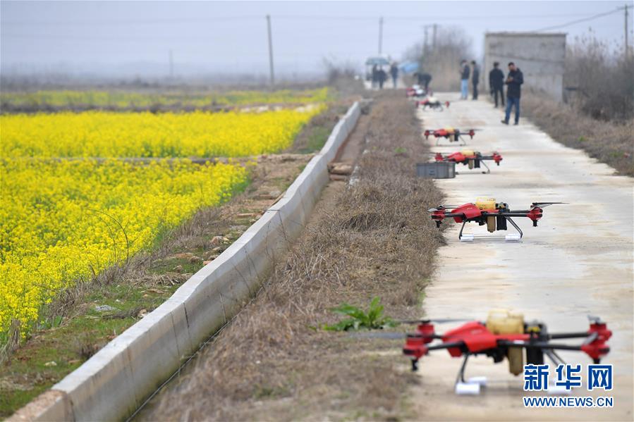 （抓好春耕備耕 穩(wěn)住農(nóng)業(yè)生產(chǎn)&middot;圖文互動(dòng)）（4）智能農(nóng)機(jī)、&ldquo;訂單&rdquo;服務(wù)、&ldquo;云端&rdquo;種菜&mdash;&mdash;來(lái)自江西的春耕&ldquo;新事&rdquo;