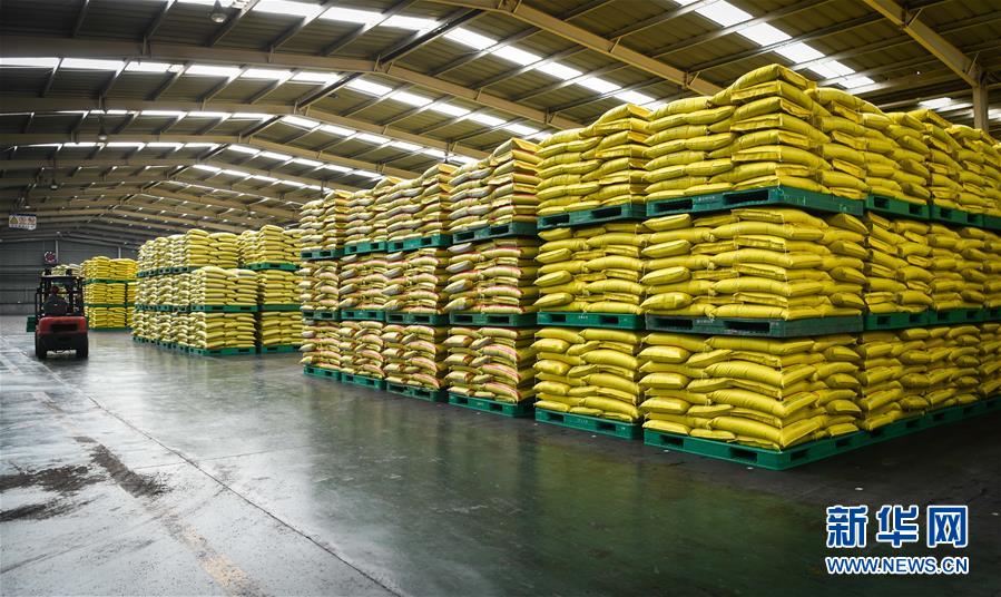 （新華全媒頭條&middot;圖文互動）（3）在艱難中重啟 在陣痛中復蘇&mdash;&mdash;湖北推動安全有序復工復產掃描