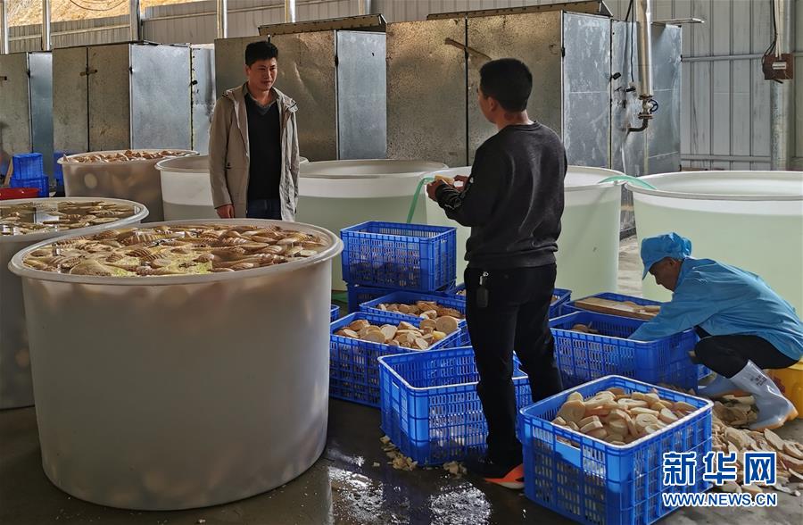 （決戰決勝脫貧攻堅&middot;圖文互動）掛牌督戰，一個都不能少&mdash;&mdash;江西確保剩余9.6萬貧困人口全部脫貧