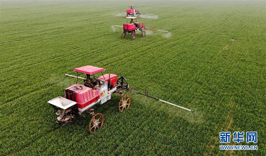 （新華全媒頭條·圖文互動）（3）春天，匯聚復蘇的力量——寫在2020年首季中國經濟收官之際