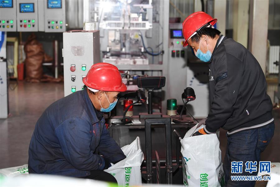 （抓好春耕備耕 穩住農業生產&middot;圖文互動）（2）走向泥土是我們的終極夢想&mdash;&mdash;一粒種子的自述