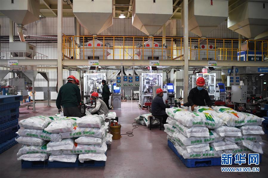 （抓好春耕備耕 穩住農業生產&middot;圖文互動）（3）走向泥土是我們的終極夢想&mdash;&mdash;一粒種子的自述