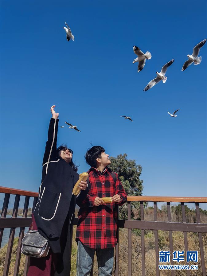 （一線抗疫群英譜&middot;圖文互動）（1）大學生志愿者譚藝西：在武漢，我和媽媽共戰&ldquo;疫&rdquo;