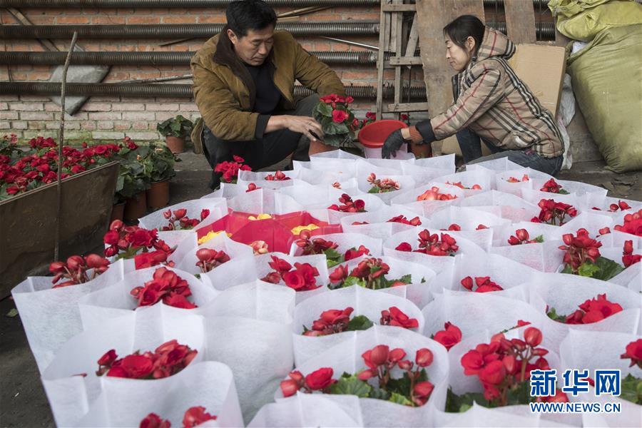 （在習近平新時代中國特色社會主義思想指引下&mdash;&mdash;新時代新作為新篇章&middot;習近平總書記關切事&middot;圖文互動）（1）希望的田野，希望的春天&mdash;&mdash;各地農業生產新動態掃描