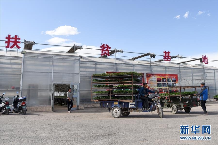 （決戰決勝脫貧攻堅&middot;圖文互動）（9）決戰昆侖&mdash;&mdash;新疆聚焦10個未摘帽縣展開深度貧困攻堅戰 