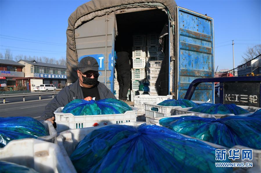 （在習近平新時代中國特色社會主義思想指引下&mdash;&mdash;新時代新作為新篇章&middot;習近平總書記關切事&middot;圖文互動）（3）抗疫之下 保供無憂