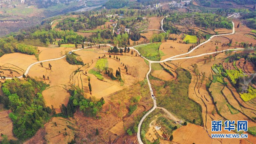 (決戰決勝脫貧攻堅·圖文互動)(2)寄相思,償夙愿——5封清明“家書”里的決戰決勝信念