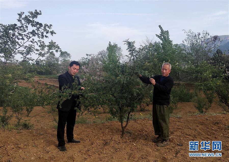 （新華全媒頭條·圖文互動）（6）春天里的5個“戰貧”瞬間——習近平總書記關于脫貧攻堅決策部署指引攻克最后的深貧堡壘