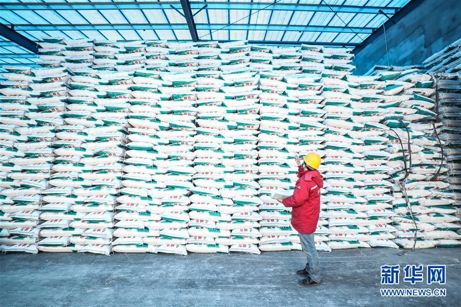 (在習近平新時代中國特色社會主義思想指引下——新時代新作為新篇章·習近平總書記關切事·圖文互動)(4)春耕忙 信心足——谷雨時節走馬東北直擊糧事