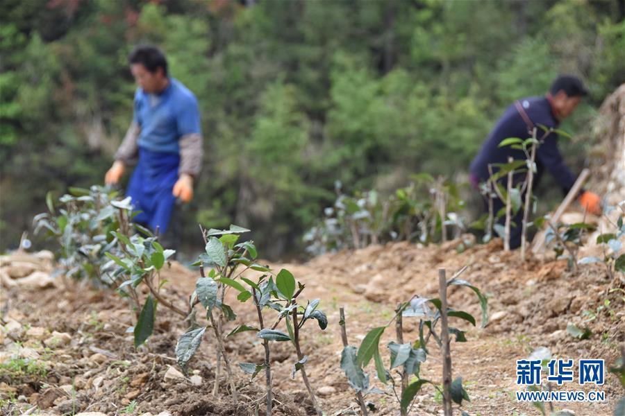 （圖片互動）（3）再訪貴州極貧鄉鎮看&ldquo;四變&rdquo;