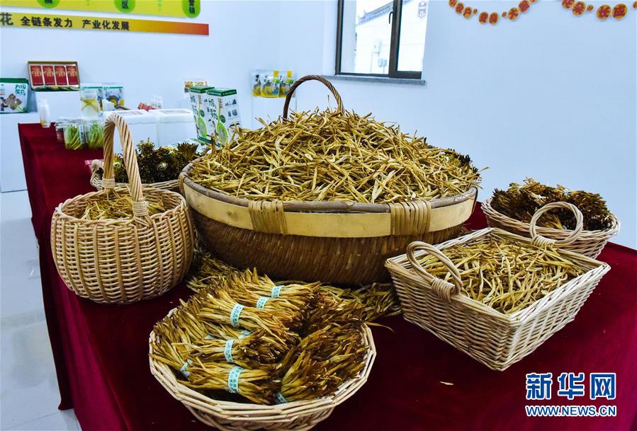 （新華全媒頭條·圖文互動(dòng)）（3）初夏，循著總書記的腳步探訪產(chǎn)業(yè)扶貧新事