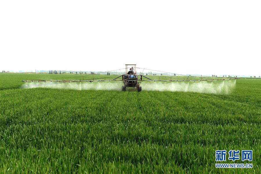 （在習近平新時代中國特色社會主義思想指引下&mdash;&mdash;新時代新作為新篇章&middot;習近平總書記關切事&middot;圖文互動）（10）新農事、新希望&mdash;&mdash;夏收前田間新動態(tài)掃描