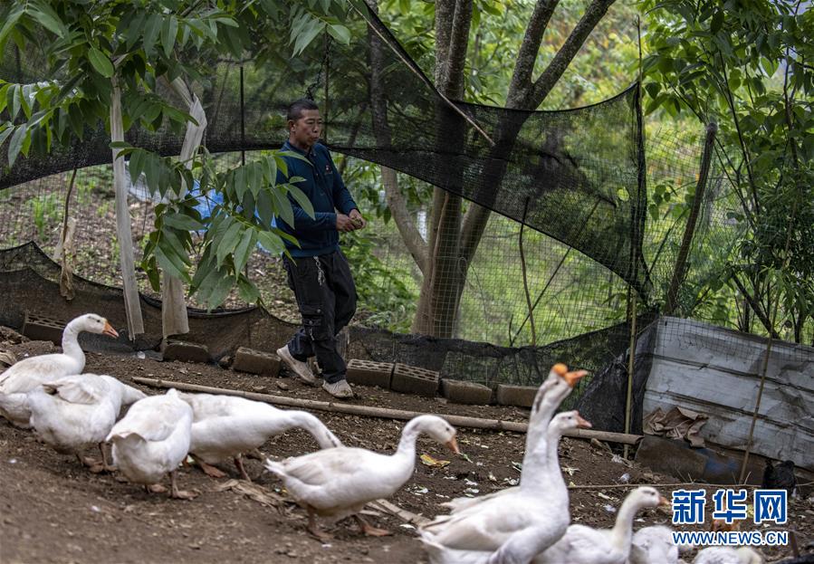 （新華全媒頭條&middot;兩會精神看落實&middot;圖文互動）（8）培育新機 開辟新局&mdash;&mdash;落實全國兩會精神激發經濟發展新動能述評