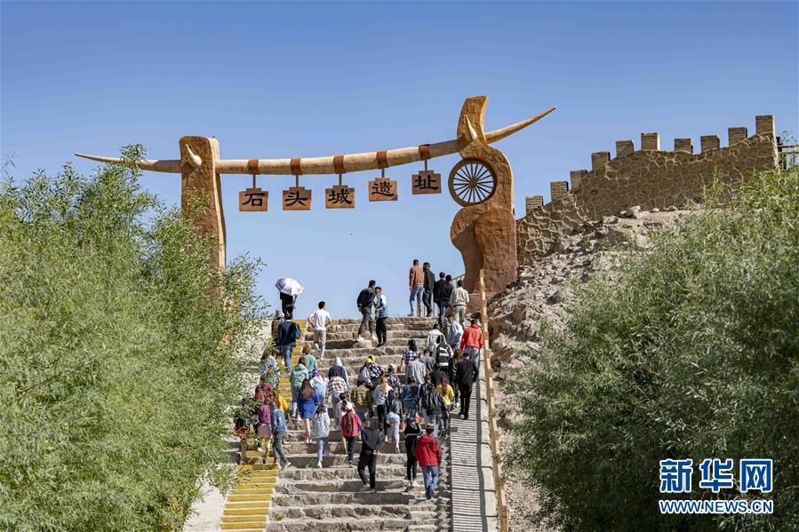 （新華全媒頭條&middot;圖文互動）（11）飛吧，&ldquo;帕米爾雄鷹&rdquo;！