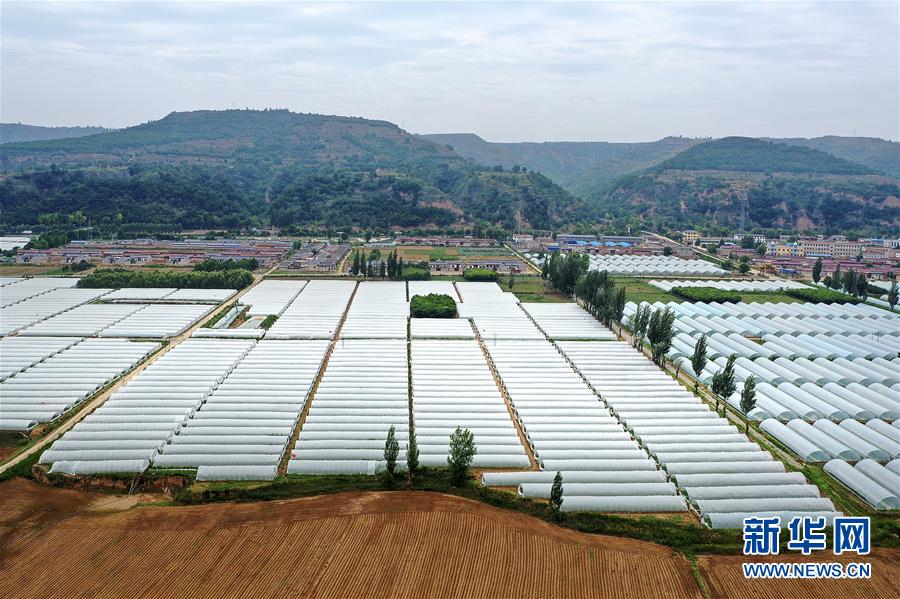 (決戰決勝脫貧攻堅·圖文互動)(3)魚漁兼授 志智雙扶——窮溝溝“菜富記”