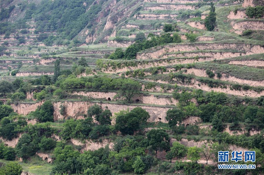 (決戰決勝脫貧攻堅·圖文互動)(5)魚漁兼授 志智雙扶——窮溝溝“菜富記”