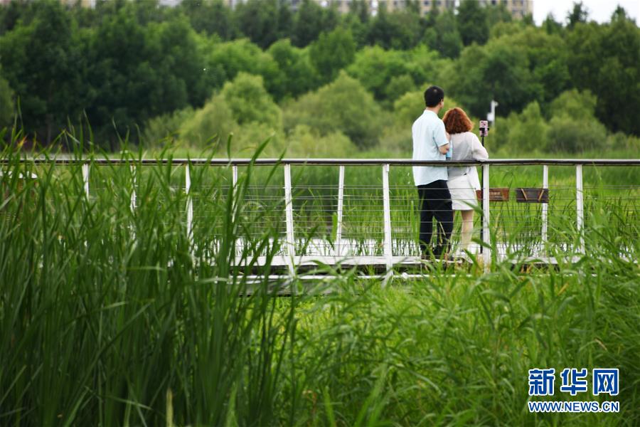 (社會)(3)樂享端午假期