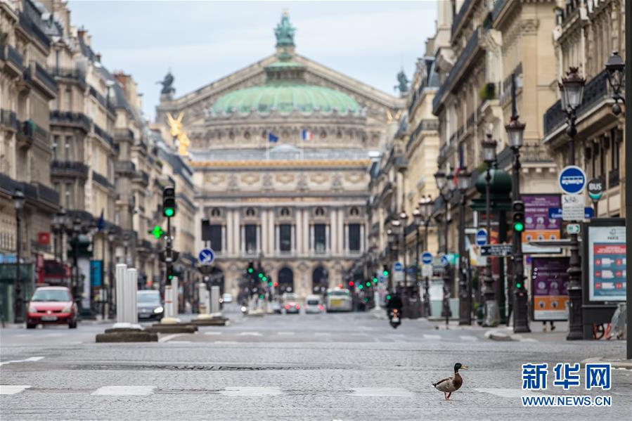 （國(guó)際&middot;圖文互動(dòng)）（4）特稿：穿越寒暑 無(wú)問(wèn)西東&mdash;&mdash;寫在新冠疫情構(gòu)成&ldquo;國(guó)際關(guān)注的突發(fā)公共衛(wèi)生事件&rdquo;半年之際