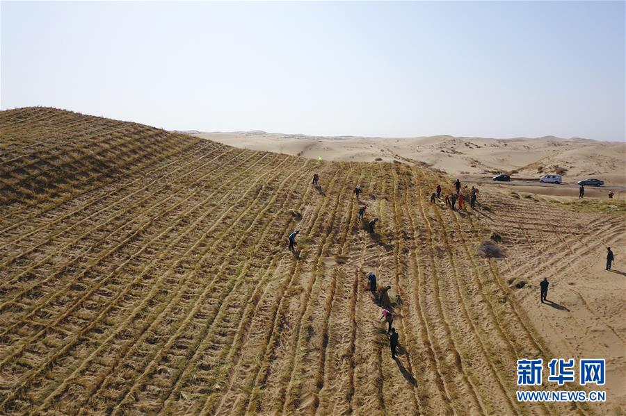 (在習近平新時代中國特色社會主義思想指引下——新時代新作為新篇章·習近平總書記關切事·圖文互動)(6)綠色映底蘊,山水見初心——生態優先、綠色發展持續造福群眾美好生活