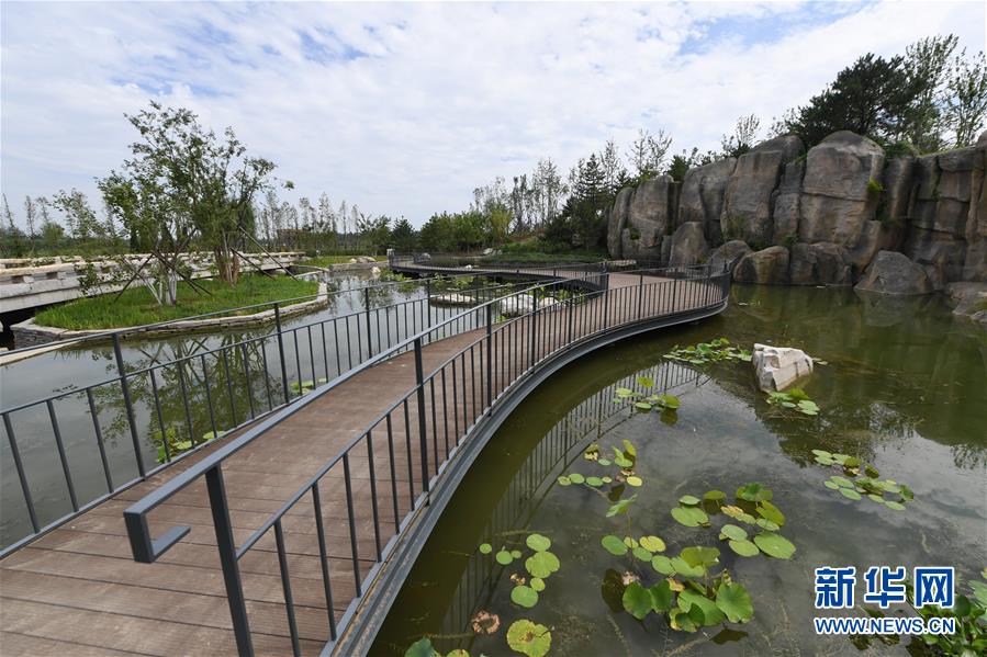 (新華全媒頭條·走向我們的小康生活·圖文互動)(2)“繡”出古都新生活——城市精細化治理的北京探索