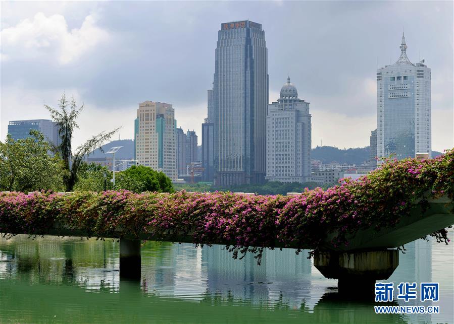 （特區40年?圖文互動）（7）廈庇五洲客 門納萬頃濤&mdash;&mdash;廈門經濟特區40年發展紀實