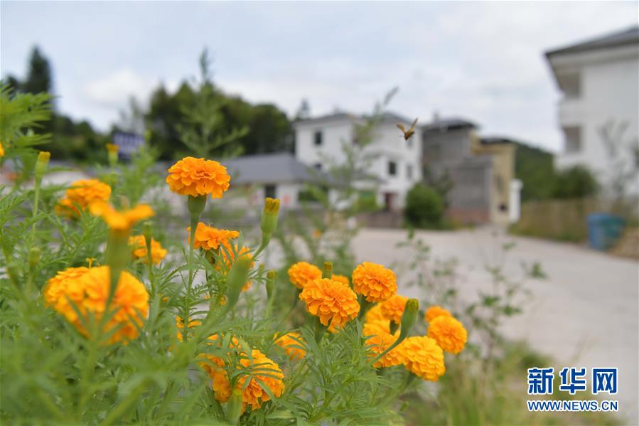 （走向我們的小康生活&middot;圖文互動）（3）從廢棄礦山到生態&ldquo;福地&rdquo;&mdash;&mdash;江西尋烏戰荒記 