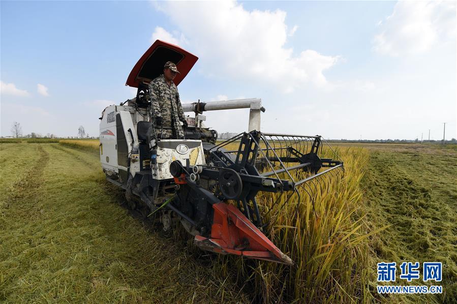 （新華全媒頭條&middot;圖文互動）（7）長淮新&ldquo;斗水&rdquo;記&mdash;&mdash;寫在新中國治淮70年之時