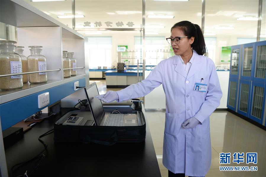 （新華全媒頭條&middot;圖文互動）（6）奮力書寫東北振興的時代新篇&mdash;&mdash;習近平總書記調研東北三省并主持召開深入推進東北振興座談會紀實