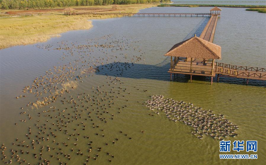 （新華全媒頭條&middot;圖文互動）（9）奮力書寫東北振興的時代新篇&mdash;&mdash;習(xí)近平總書記調(diào)研東北三省并主持召開深入推進(jìn)東北振興座談會紀(jì)實