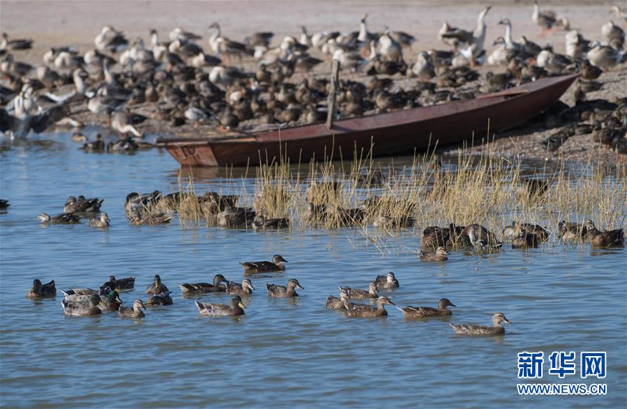 （新華全媒頭條&middot;圖文互動）（10）奮力書寫東北振興的時代新篇&mdash;&mdash;習(xí)近平總書記調(diào)研東北三省并主持召開深入推進(jìn)東北振興座談會紀(jì)實