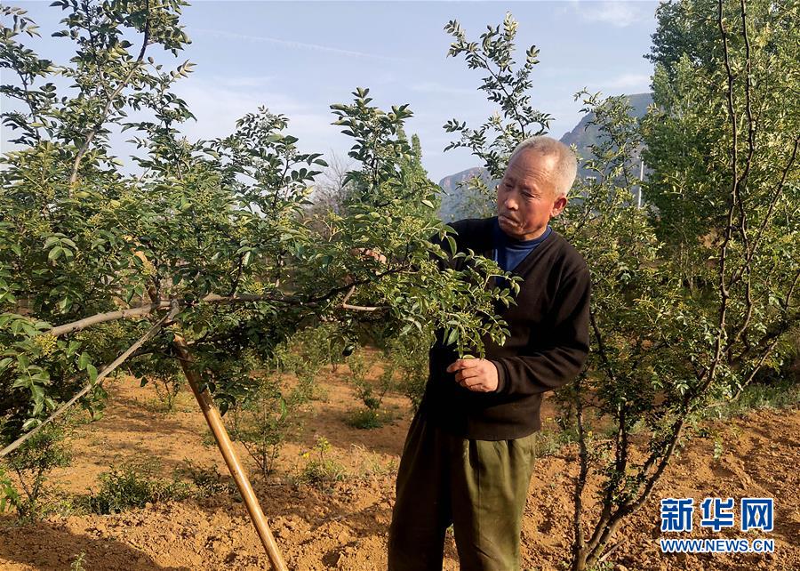 （新華全媒頭條&middot;圖文互動）（5）春天里的5個&ldquo;戰(zhàn)貧&rdquo;瞬間&mdash;&mdash;習(xí)近平總書記關(guān)于脫貧攻堅(jiān)決策部署指引攻克最后的深貧堡壘