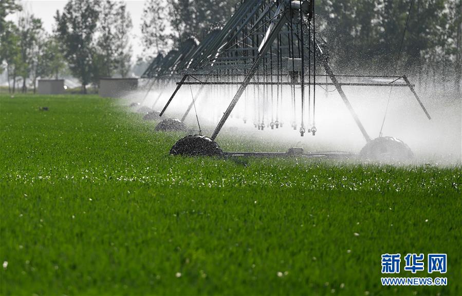 （在習近平新時代中國特色社會主義思想指引下&mdash;&mdash;新時代新作為新篇章&middot;習近平總書記關切事&middot;圖文互動）（3）新農事、新希望&mdash;&mdash;夏收前田間新動態掃描