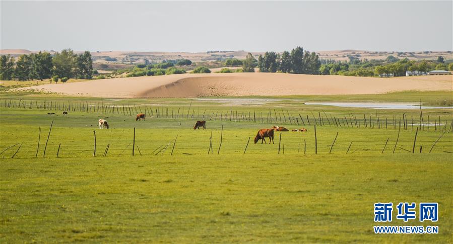 （在習近平新時代中國特色社會主義思想指引下&mdash;&mdash;新時代新作為新篇章&middot;習近平總書記關切事&middot;圖文互動）（9）綠意，在黃沙中鋪展&mdash;&mdash;我國防沙治沙紀實