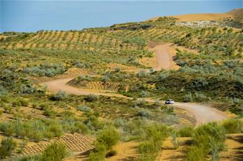 沙海綠洲好休憩&mdash;&mdash;庫布其激活&ldquo;美麗經濟&rdquo;