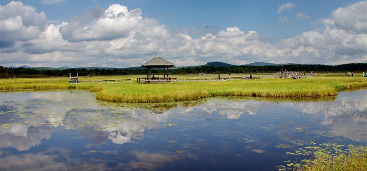 那一抹綠色，走進越來越多人心里——河北塞罕壩續寫新時代綠色傳奇