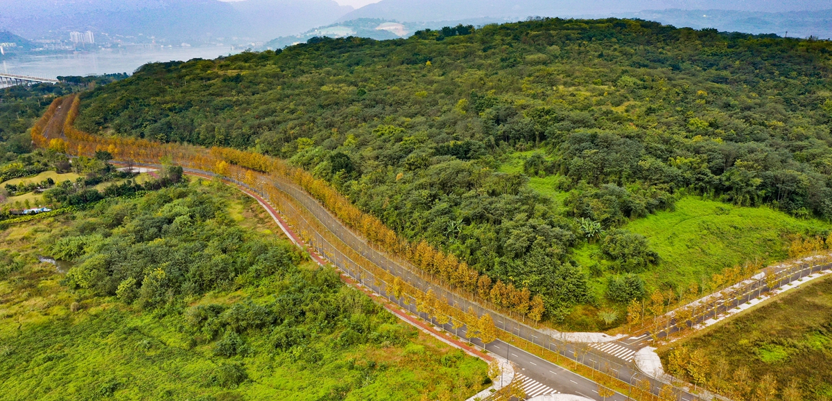 一江碧水串起綠色島鏈&mdash;&mdash;重慶江心島&ldquo;生態(tài)留白&rdquo;調(diào)查