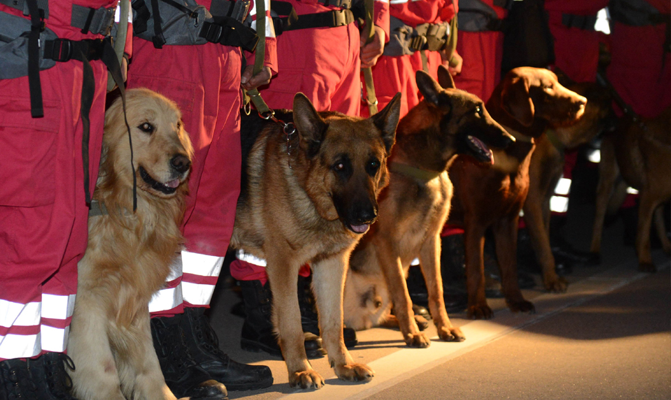 國家地震災害緊急救援隊從北京出發奔赴雅安