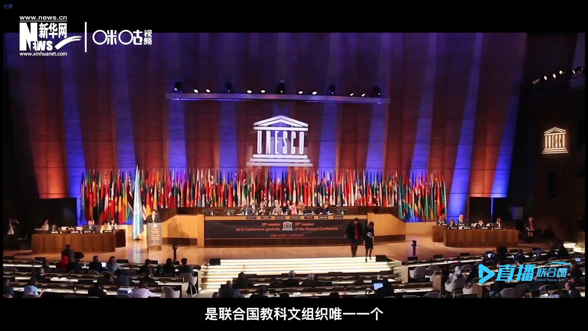 民間藝術(shù)國際組織成立于1979年，是聯(lián)合國教科文組織唯一一個以保護和挖掘國際民間藝術(shù)為工作中心的國際機構(gòu)。