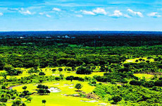 去??谂c溫泉私約