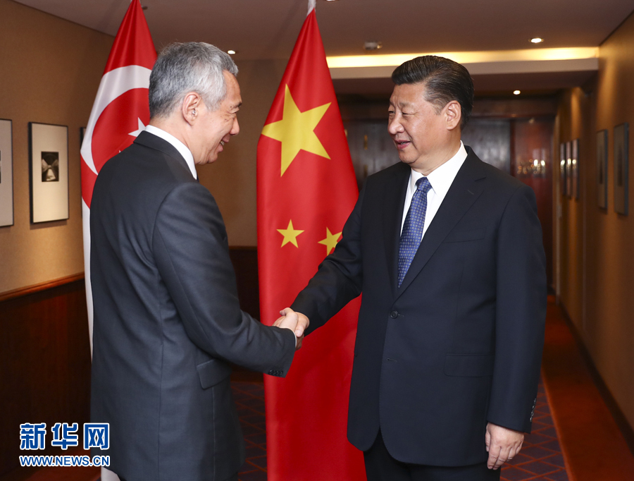 7月6日，國家主席習(xí)近平在漢堡會(huì)見新加坡總理李顯龍。 新華社記者謝環(huán)馳 攝