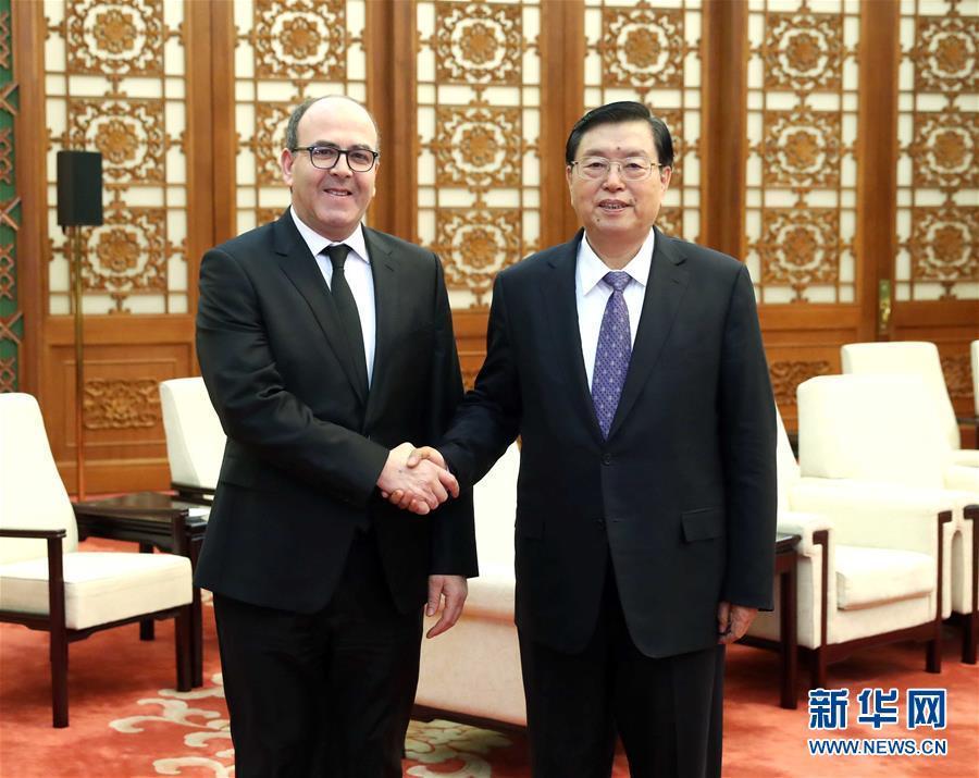 12月20日，全國人大常委會委員長張德江在北京人民大會堂會見摩洛哥參議長本希馬。新華社記者劉衛兵攝