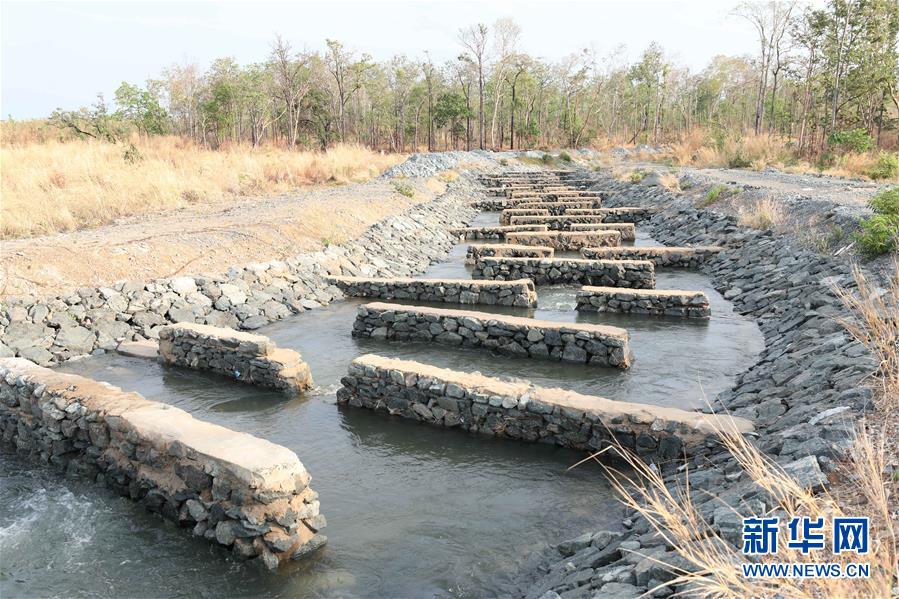 （國際&middot;&ldquo;一帶一路&rdquo;高峰論壇&middot;圖文互動）（2）通訊：為魚兒保障回家的路&mdash;&mdash;中國水電工程助力柬埔寨綠色發(fā)展